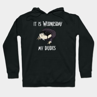 It Is Wednesday (Addams), My Dudes Hoodie